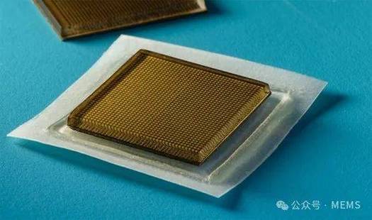 生物粘合剂赋能可穿戴超声波器件 技术突破与资源循环利用新路径
